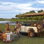 Honeymoon Safari in Botswana and Uganda?