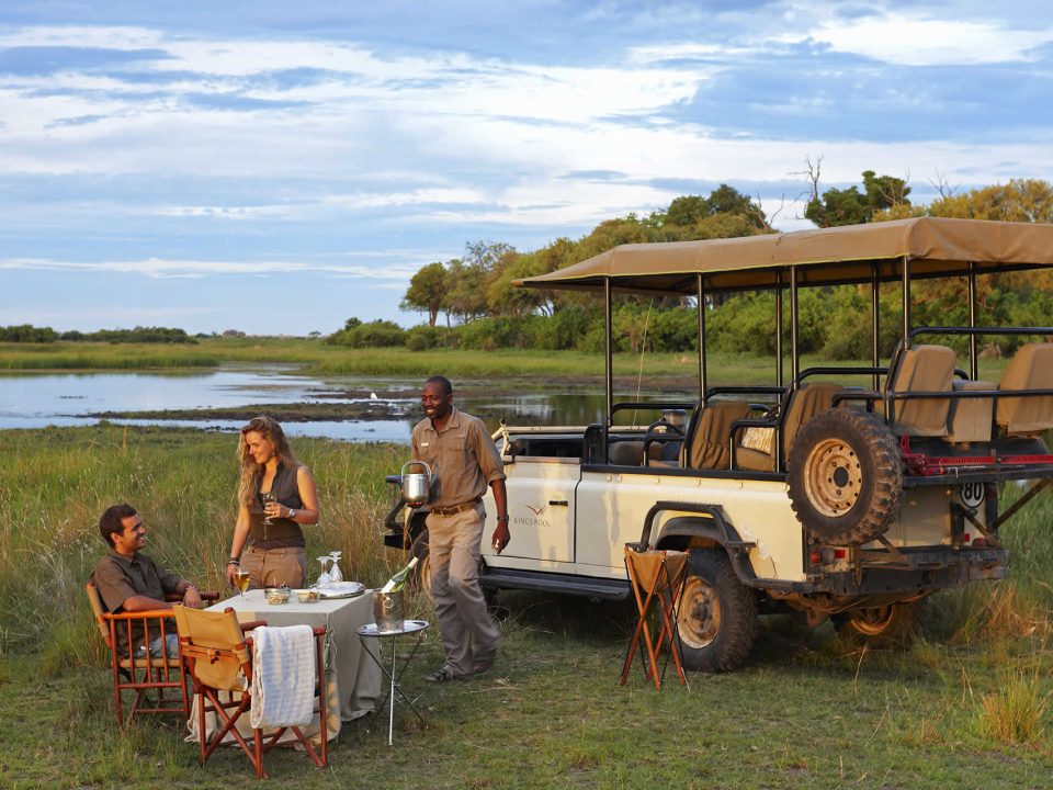 Honeymoon Safari in Botswana and Uganda?