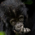 Is Uganda Safe for Tourists