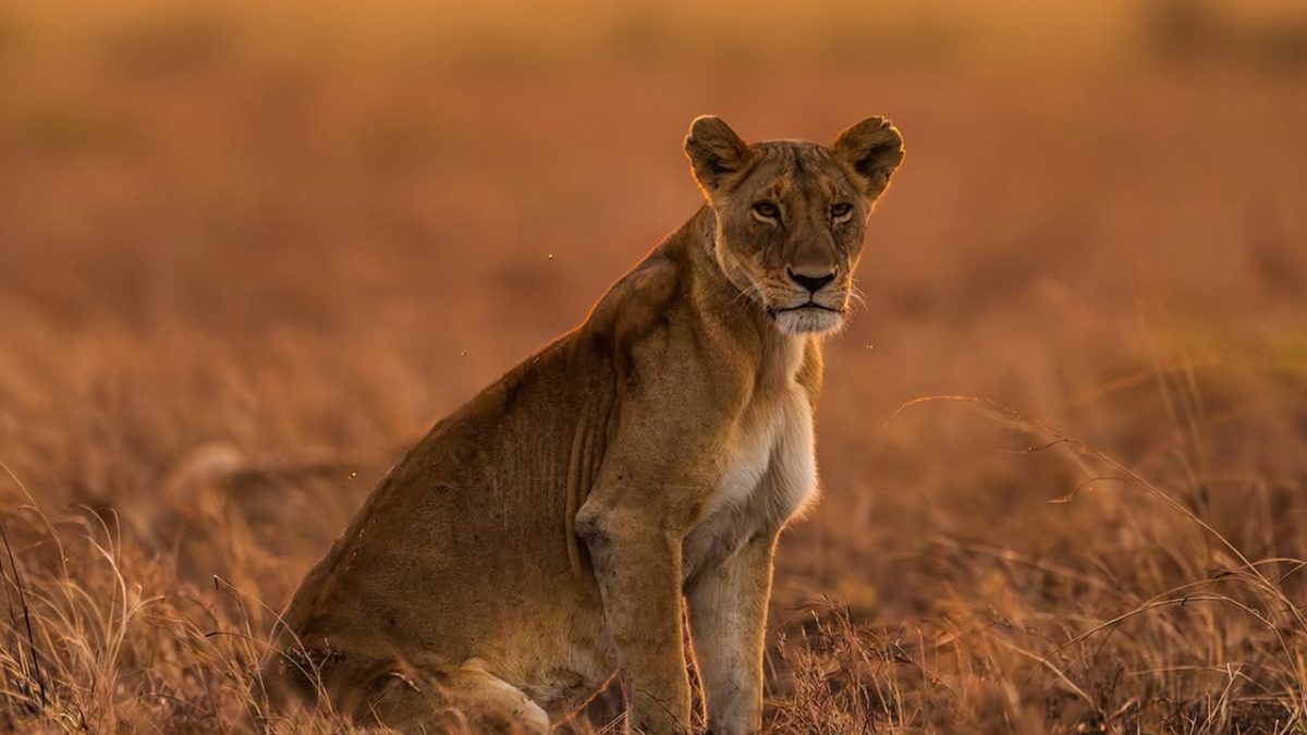 Is Kenya Safe for Tourists?