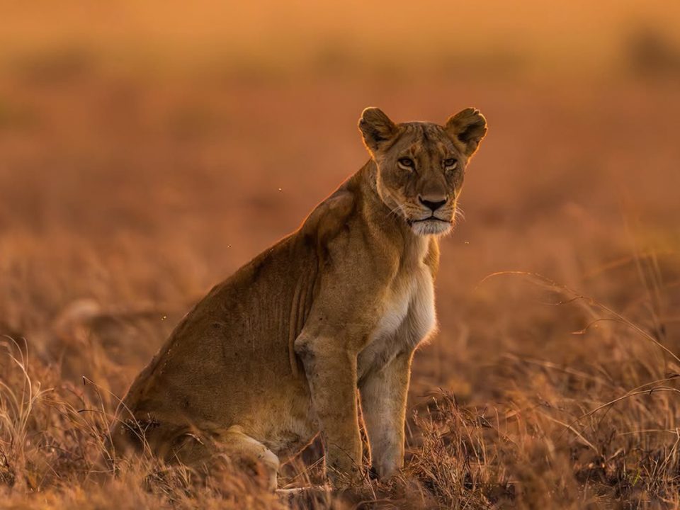 Is Kenya Safe for Tourists?