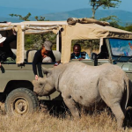 Ol Pejeta Conservancy