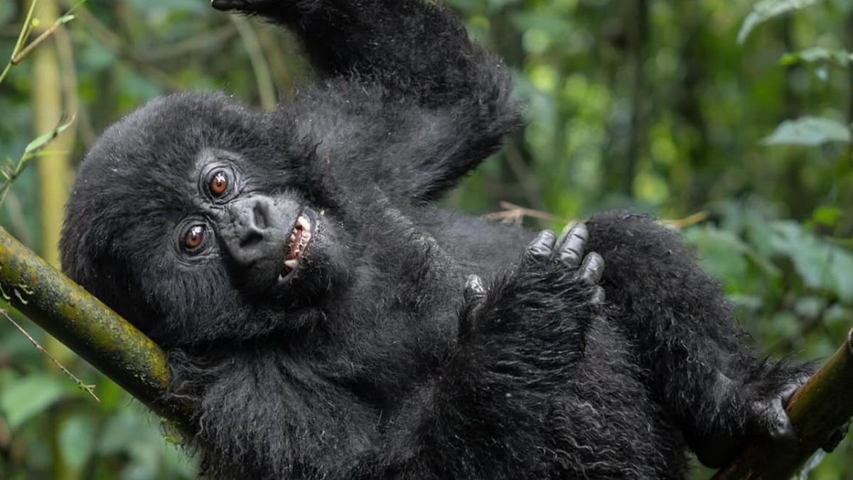 What is the best time to visit Rwanda?