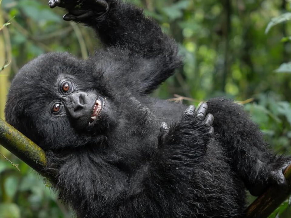 What is the best time to visit Rwanda?