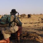 Zimbabwe walking safaris