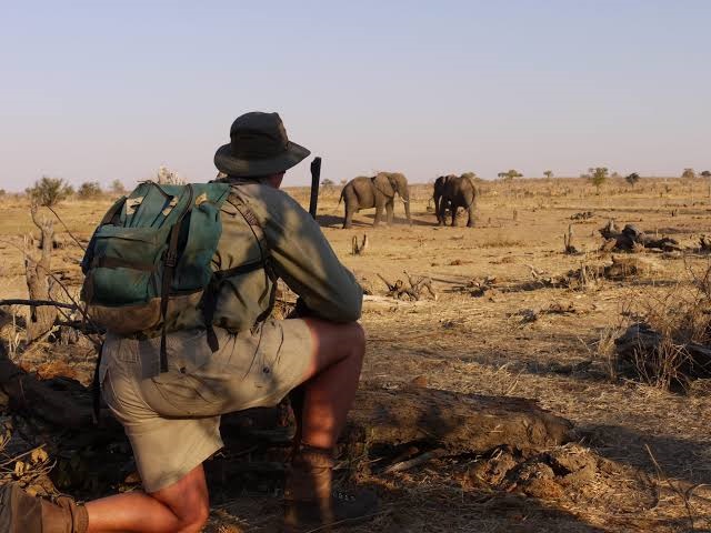 Zimbabwe walking safaris