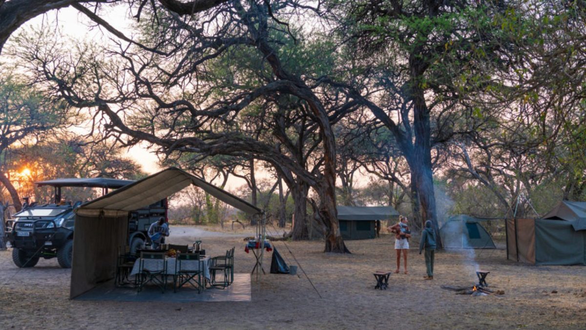 Mobile Safari vs Lodge Safari