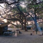 Mobile Safari vs Lodge Safari