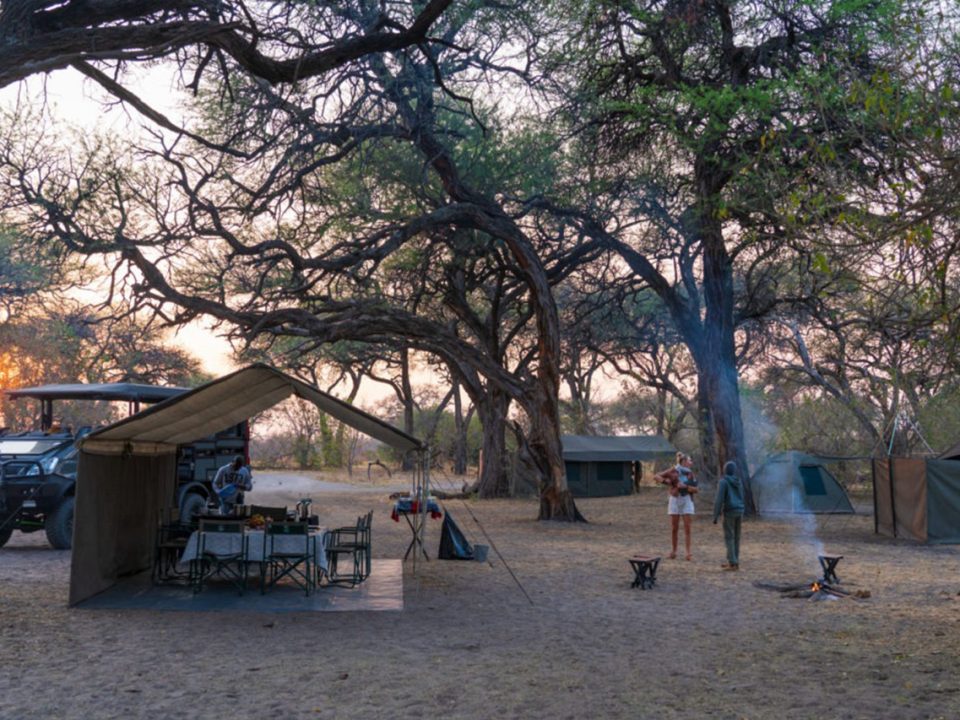 Mobile Safari vs Lodge Safari