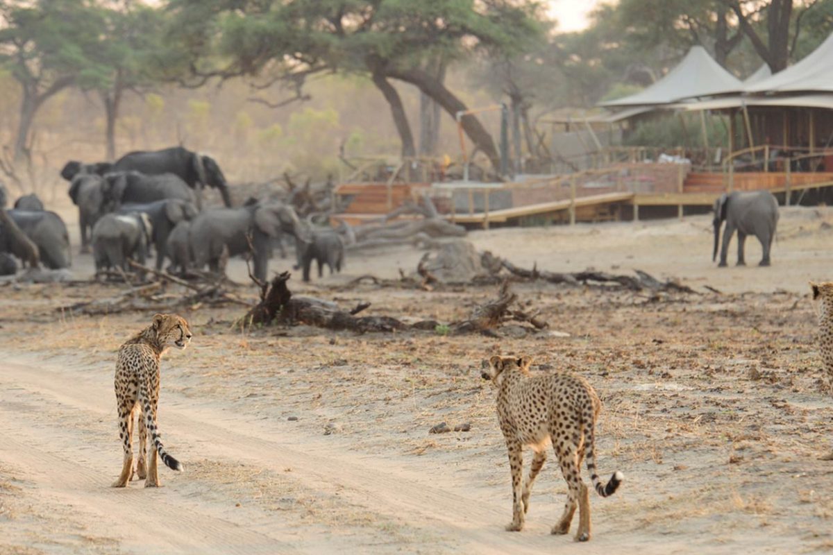 Affordable Victoria Falls and Hwange