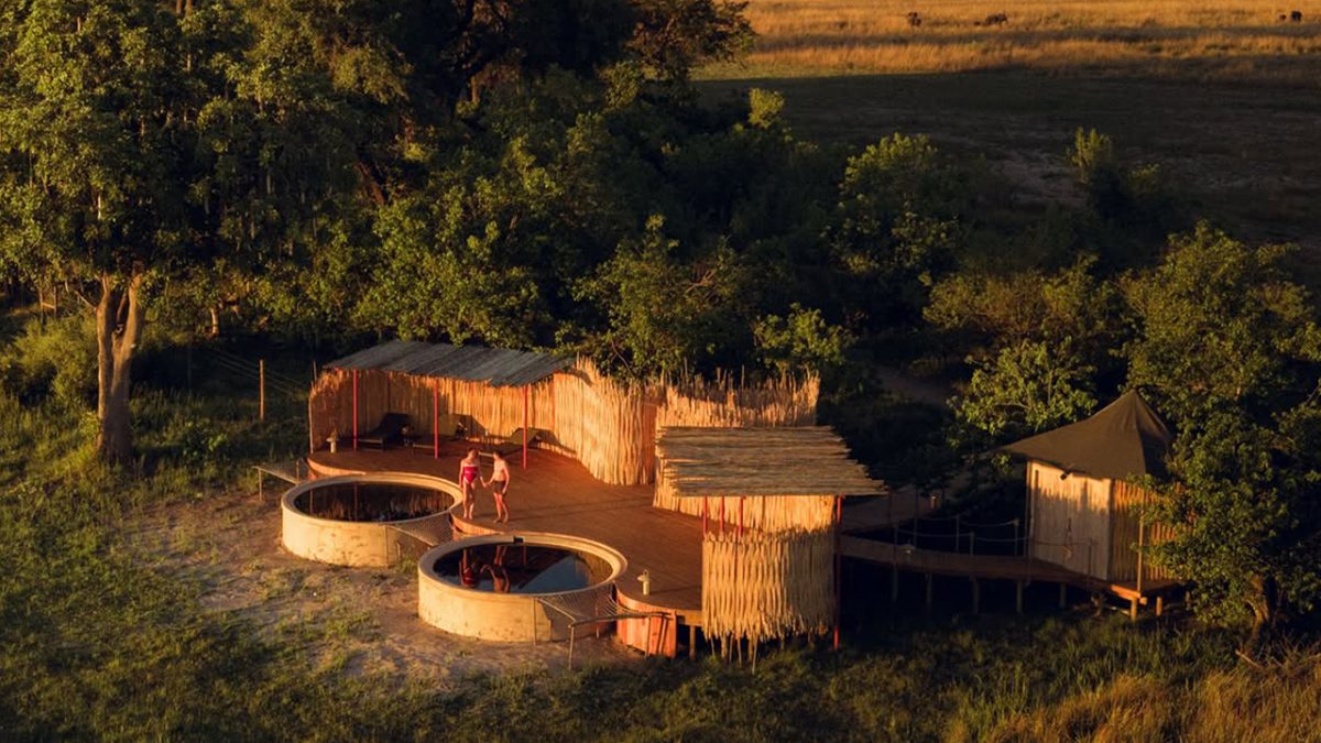 Uganda and Botswana Luxury Safari