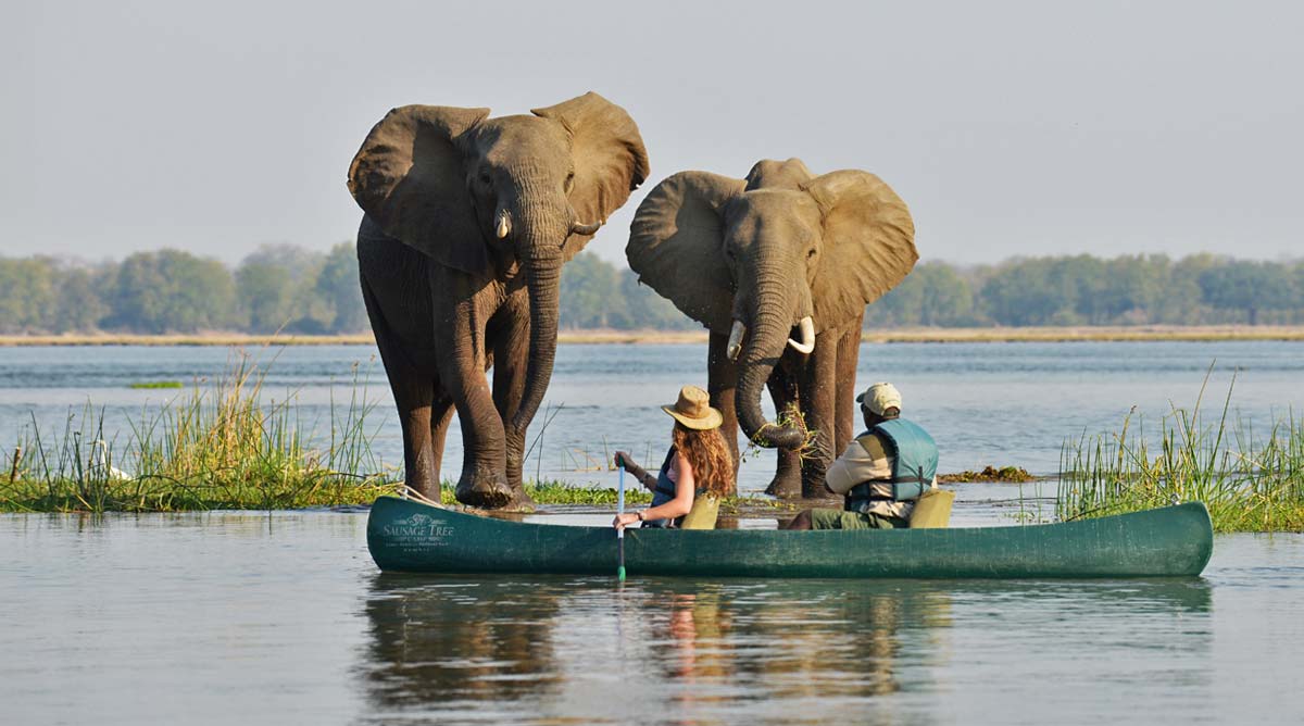 9-Day Zimbabwe Explorer