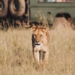 Affordable Kenya Uganda Safari