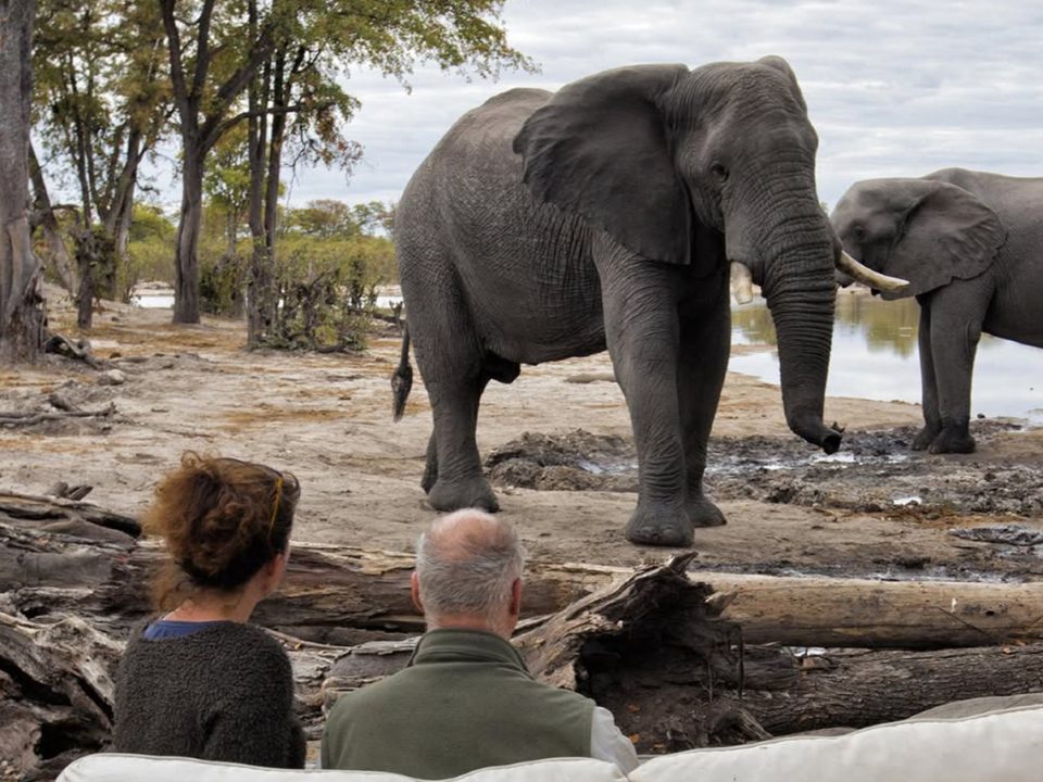 Uganda Gorilla Trekking and Moremi Safari