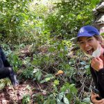 Solo Gorilla Trekking from Entebbe