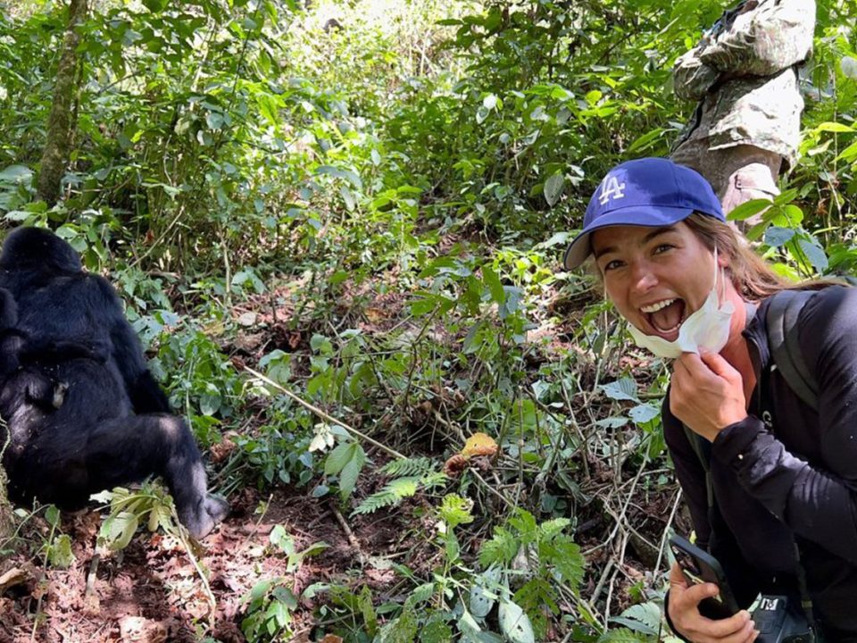 Solo Gorilla Trekking from Entebbe