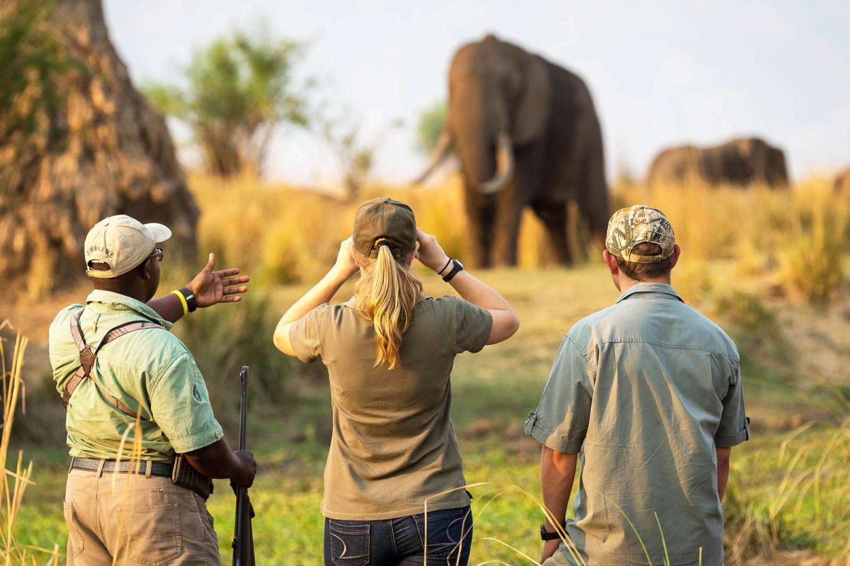 Hwange and Mana Pools Luxury
